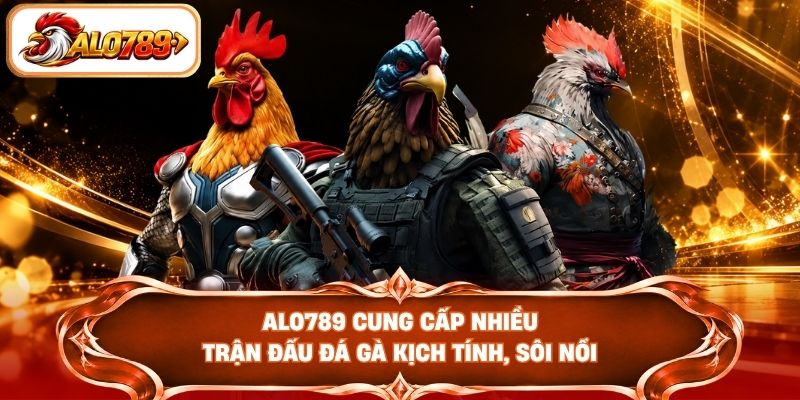 ALO789 cung cấp nhiều trận đấu đá gà kịch tính, sôi nổi