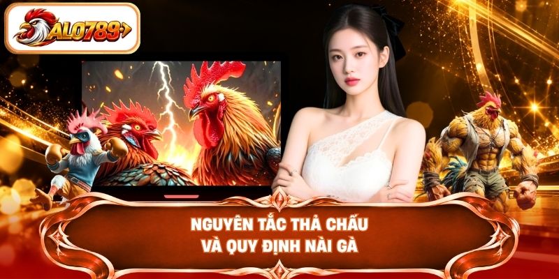 Nguyên tắc thả chấu và quy định nài gà
